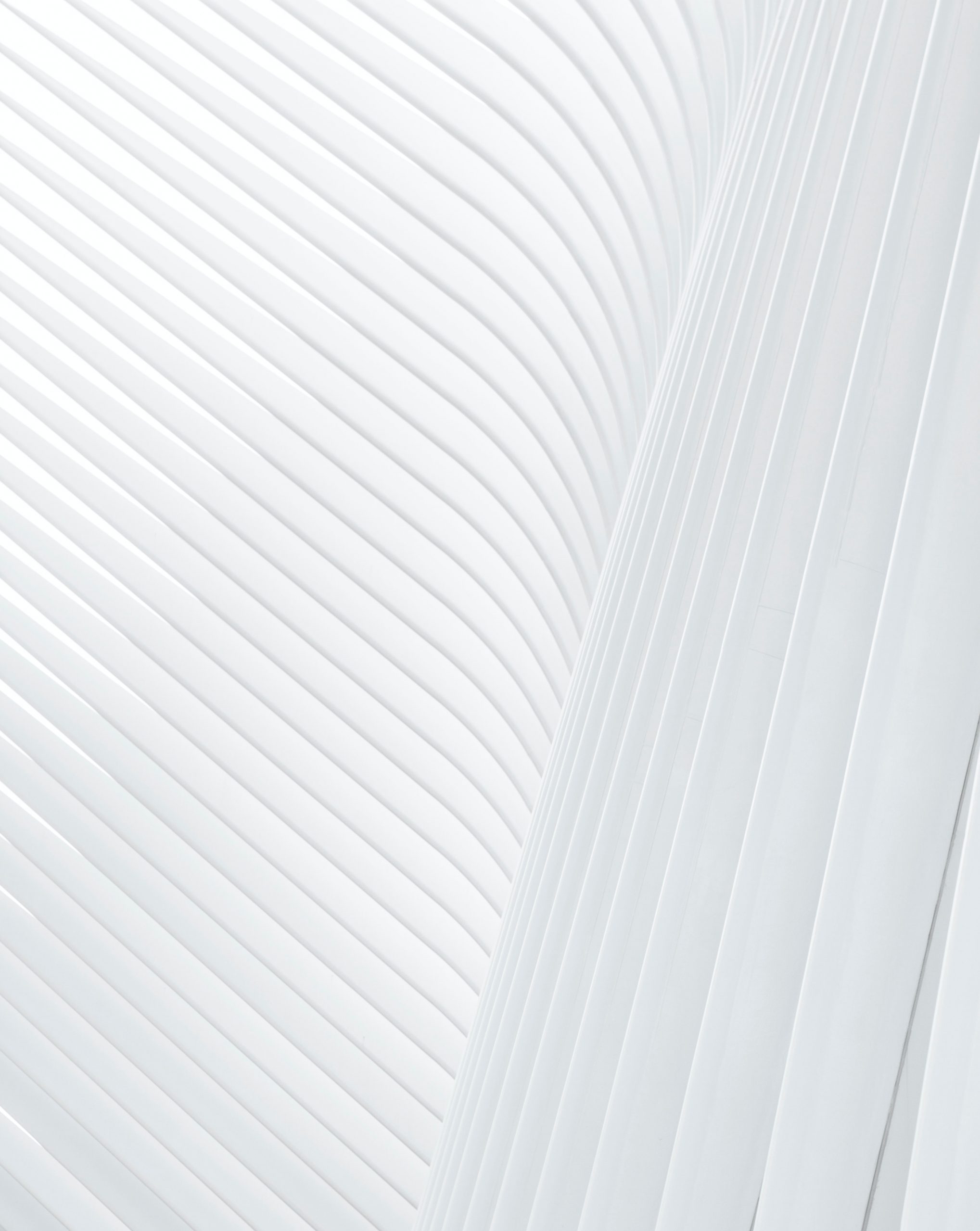 christian-perner-UKLIuV8rAks-unsplash